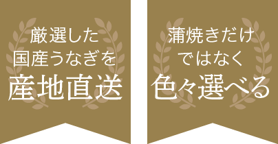 厳選した国産うなぎを産地直送 蒲焼だけではなく色々選べる