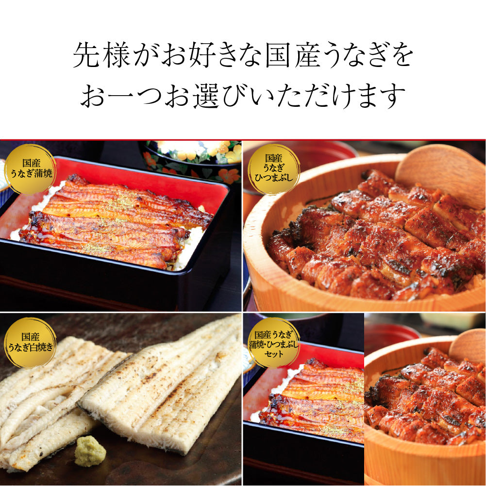選べる国産うなぎ カタログギフト