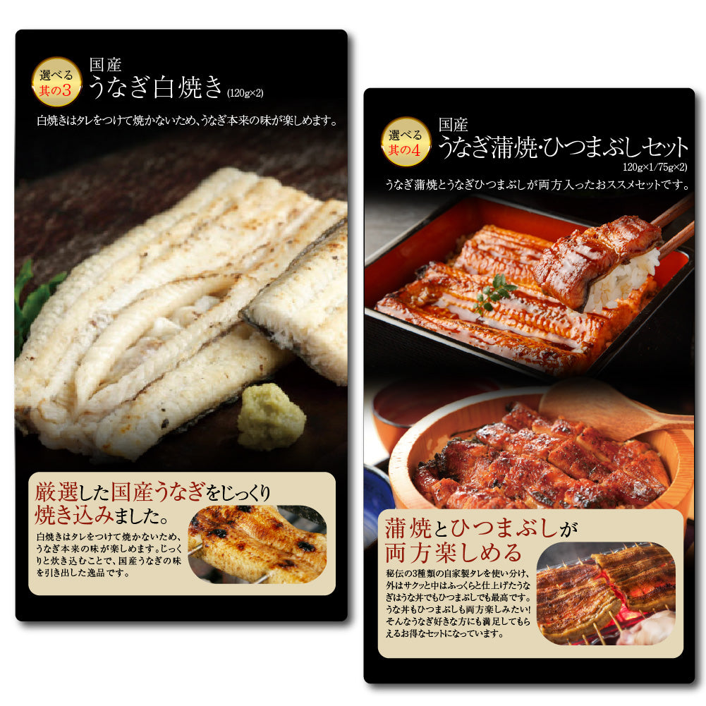 選べる国産うなぎ カタログギフト