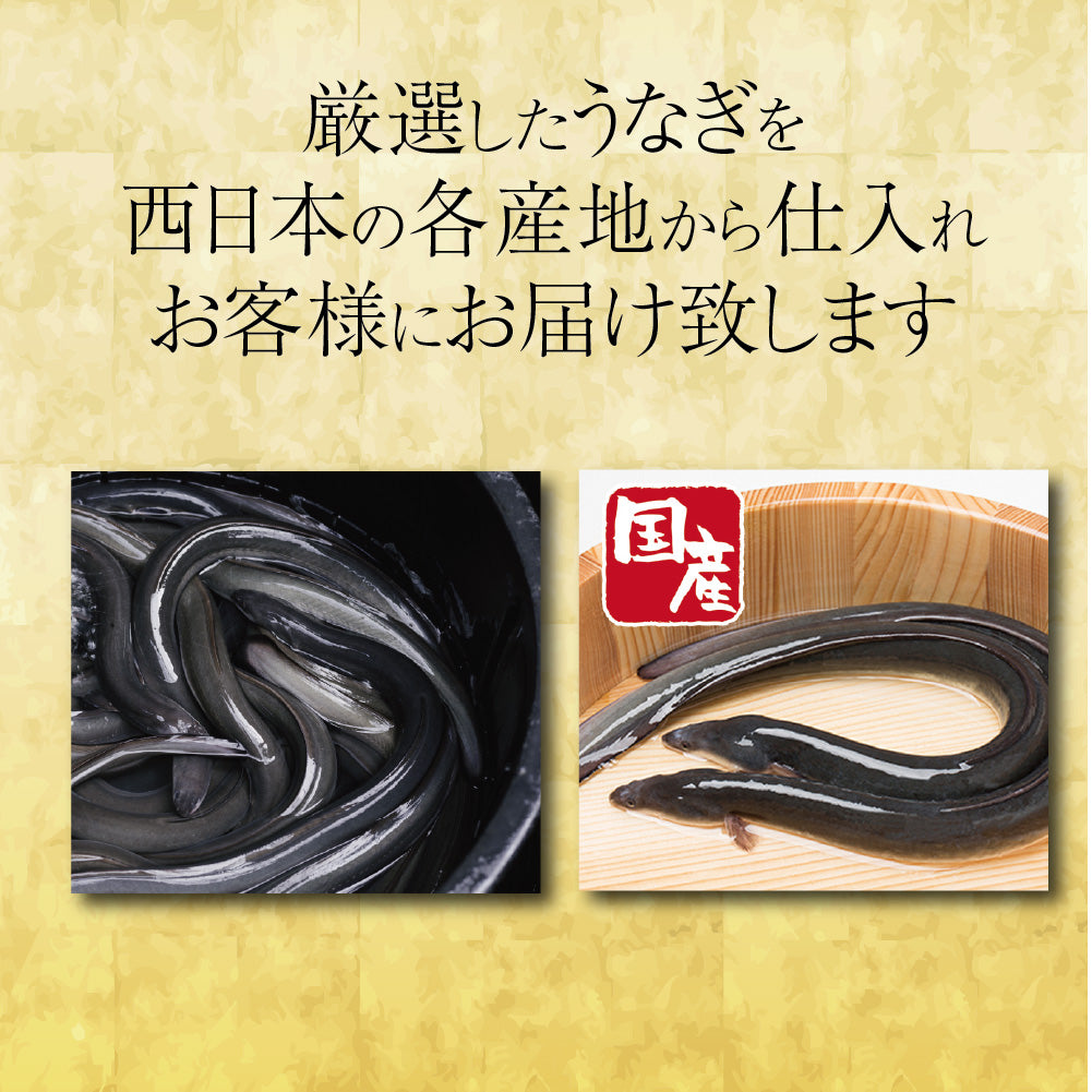 選べる国産うなぎ カタログギフト